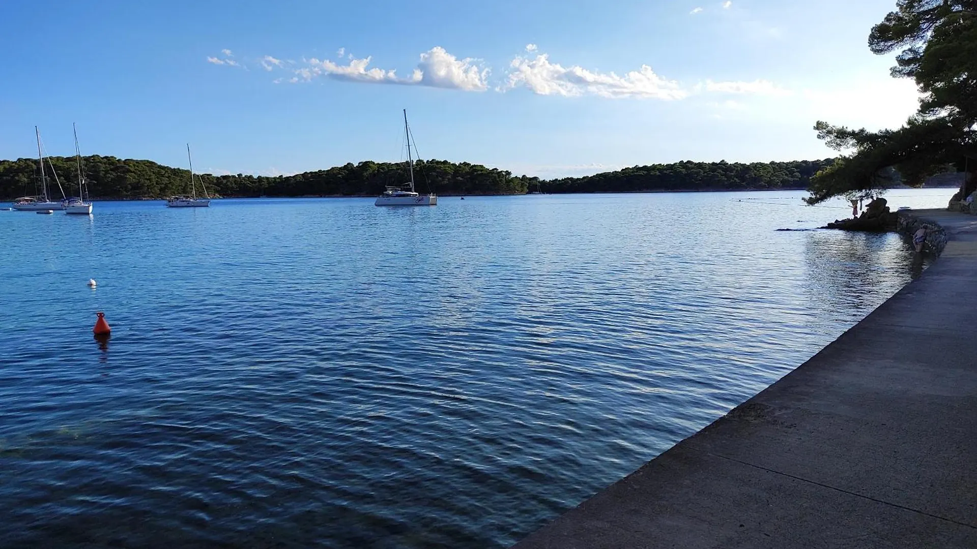 Apartment Stellar Suite Palit Croatia